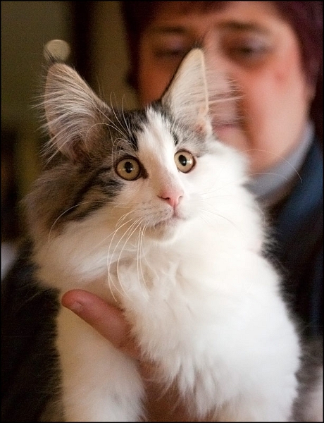 Eden de Talmanis 2.jpg - Eden de Talmanis